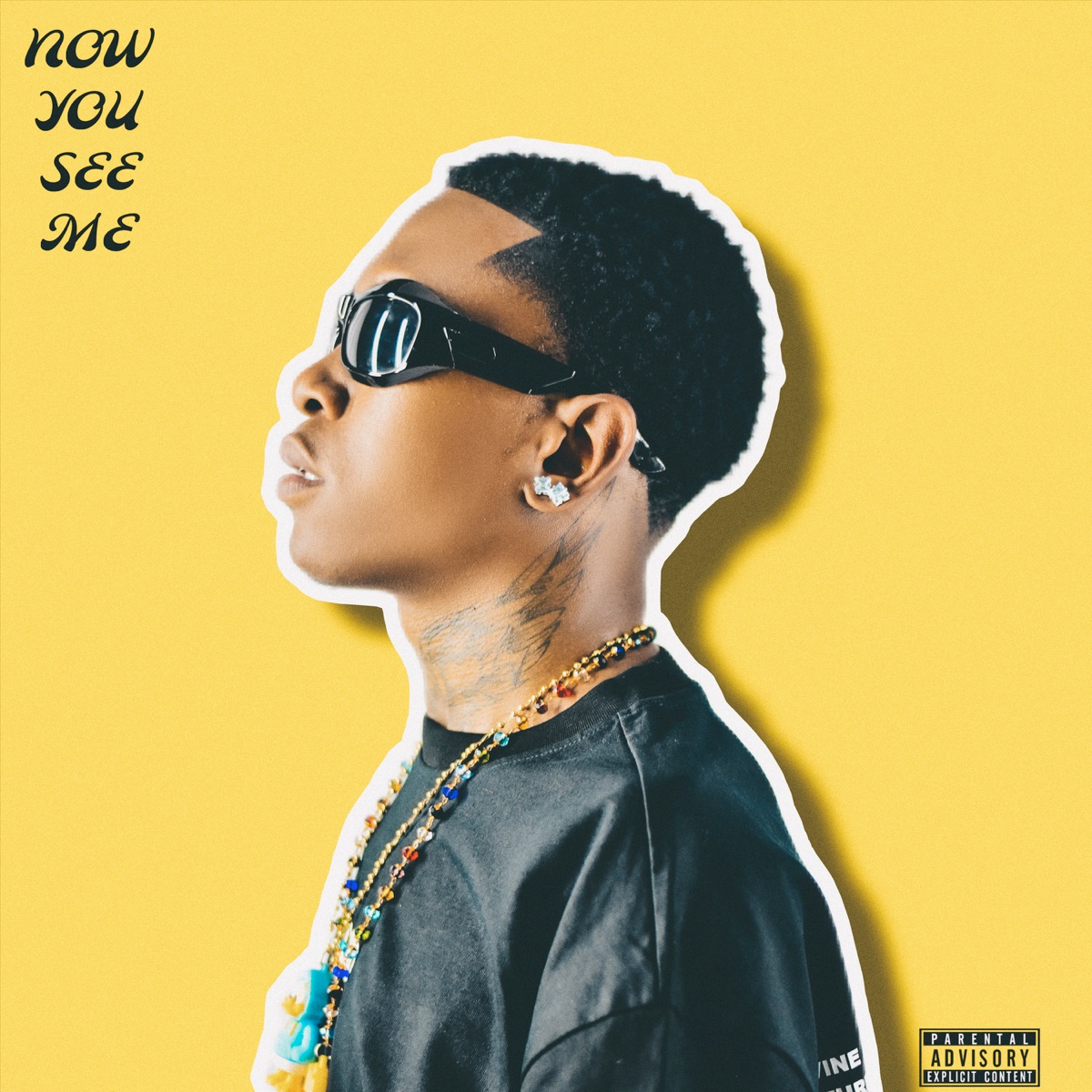 Now You See Me by SKMATOBELA MSHAYWASO album cover