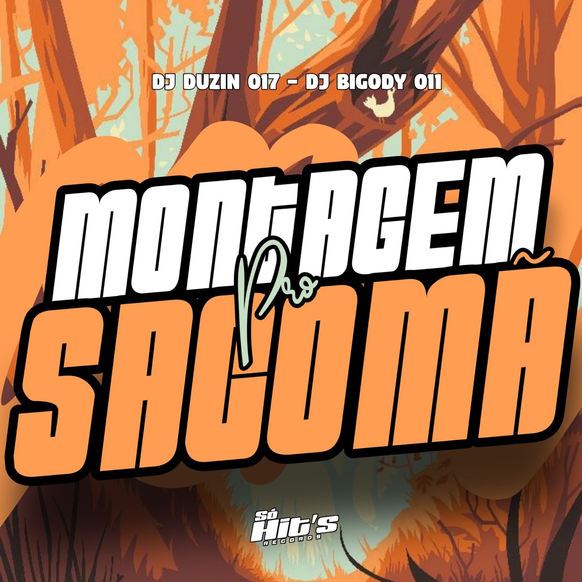 Montagem Pro Sacomâ - Single by DJ BIGODY 011 & DJ DUZIN 017 album cover