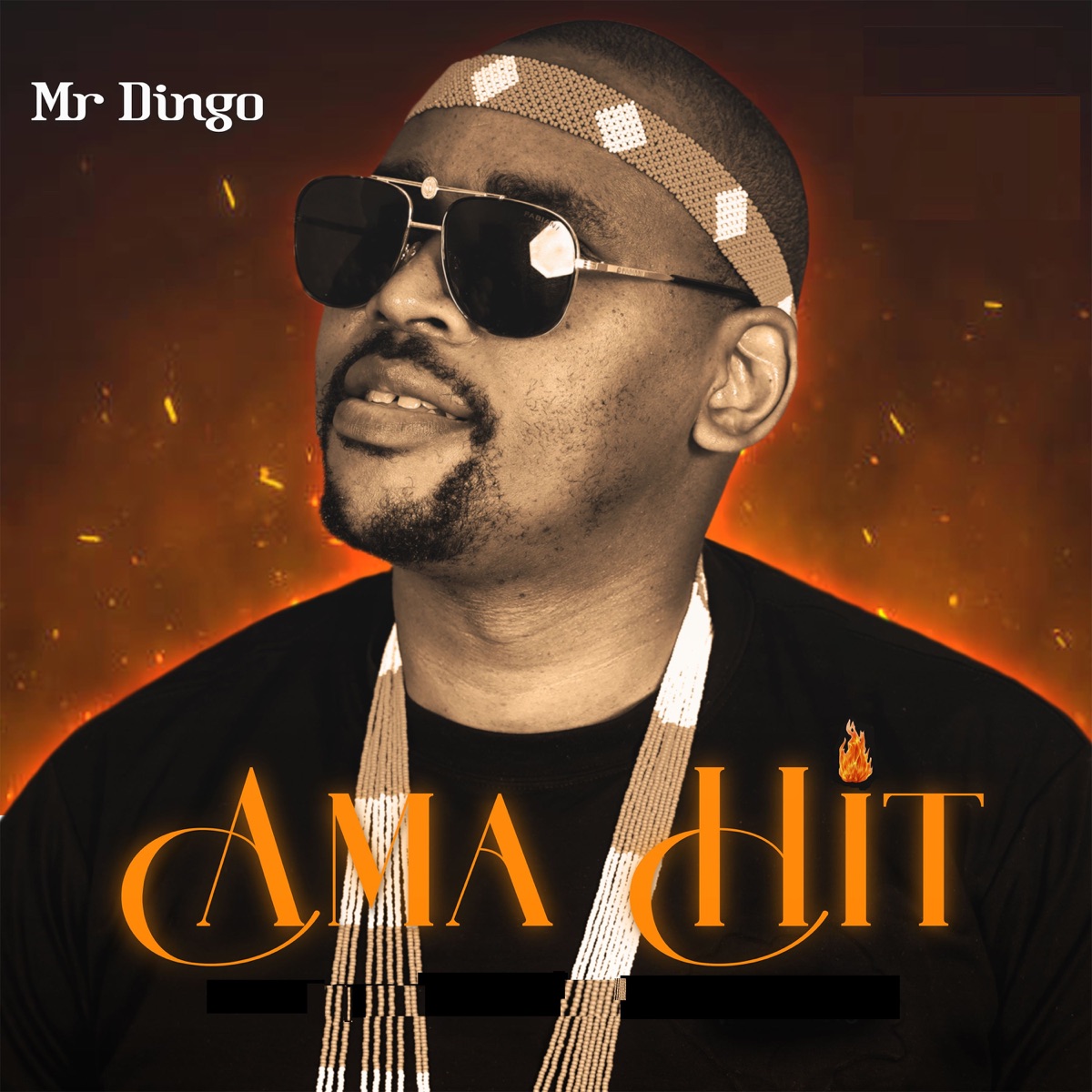 Ama Hit - Single by Mr Dingo album cover