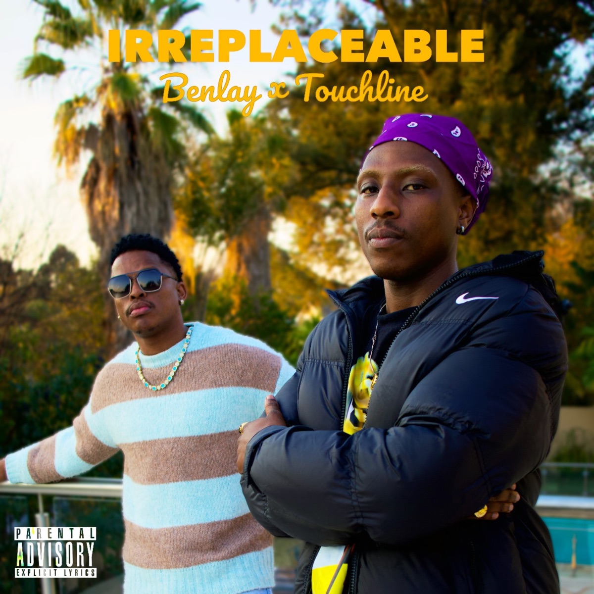 Irreplaceable - Single by Benlay & Touchline album cover