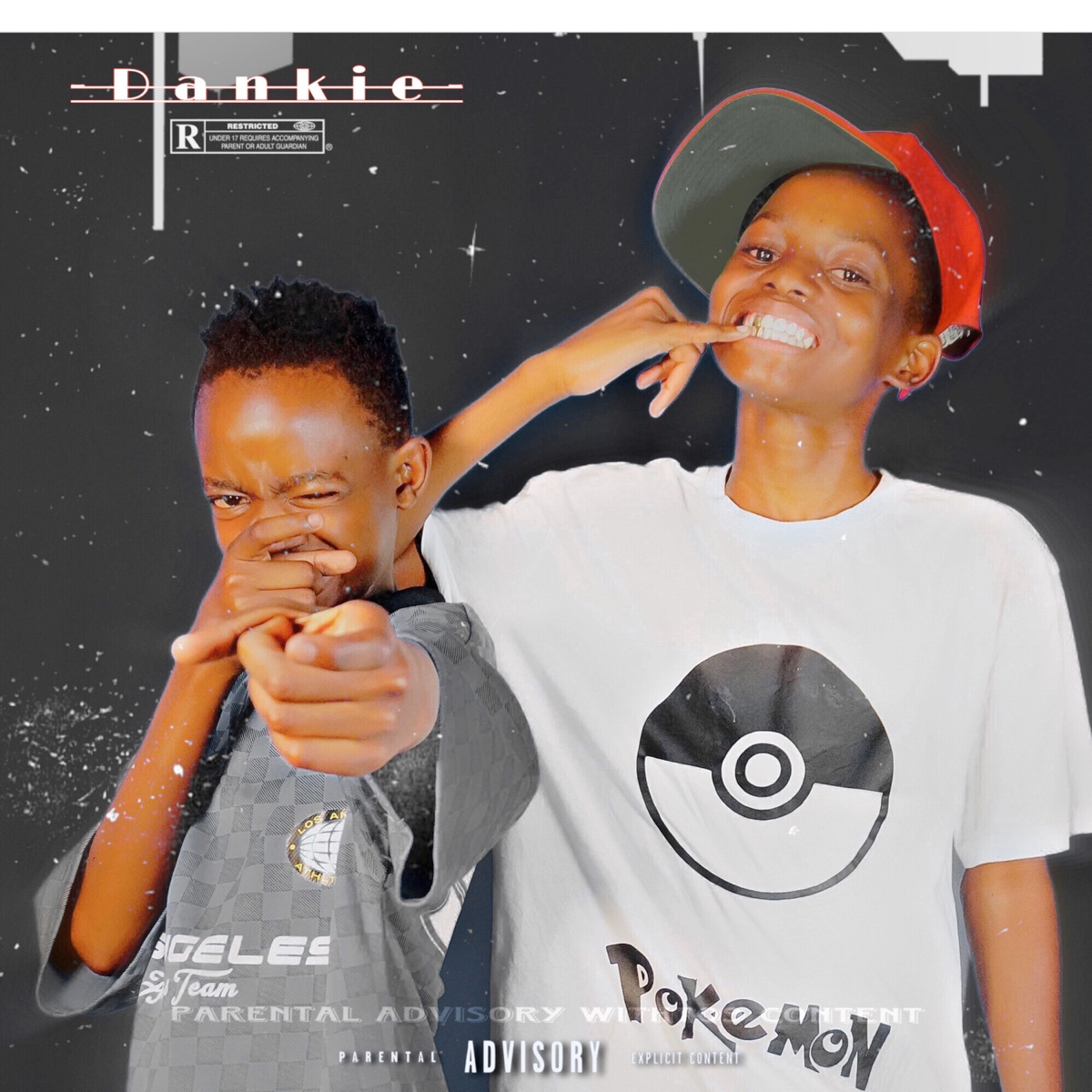Dankie - Single by Blaq Falcon & Young Memorandum album cover