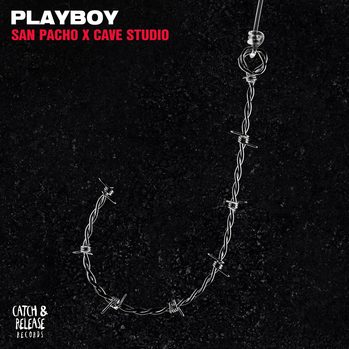 Playboy - Single by San Pacho & Cave Studio album cover