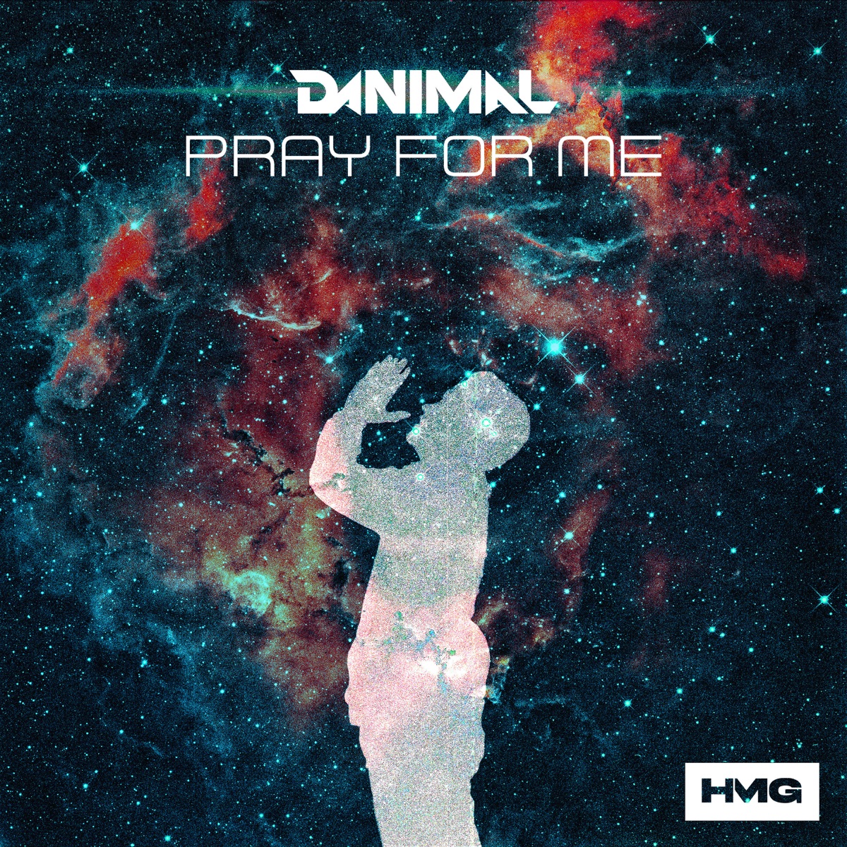 Pray For Me - Single by Danimal album cover
