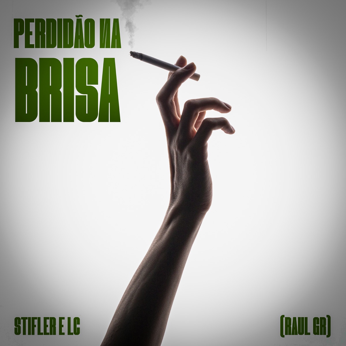 Perdidão na Brisa - Single by Stifler, LC MC & Raul GR album cover