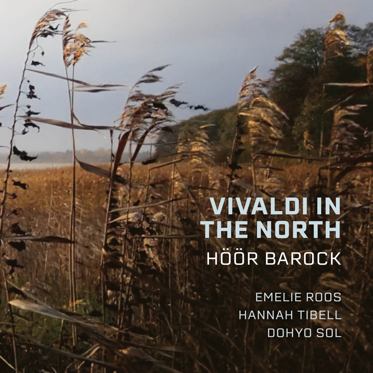 Vivaldi in the North by Höör Barock album cover