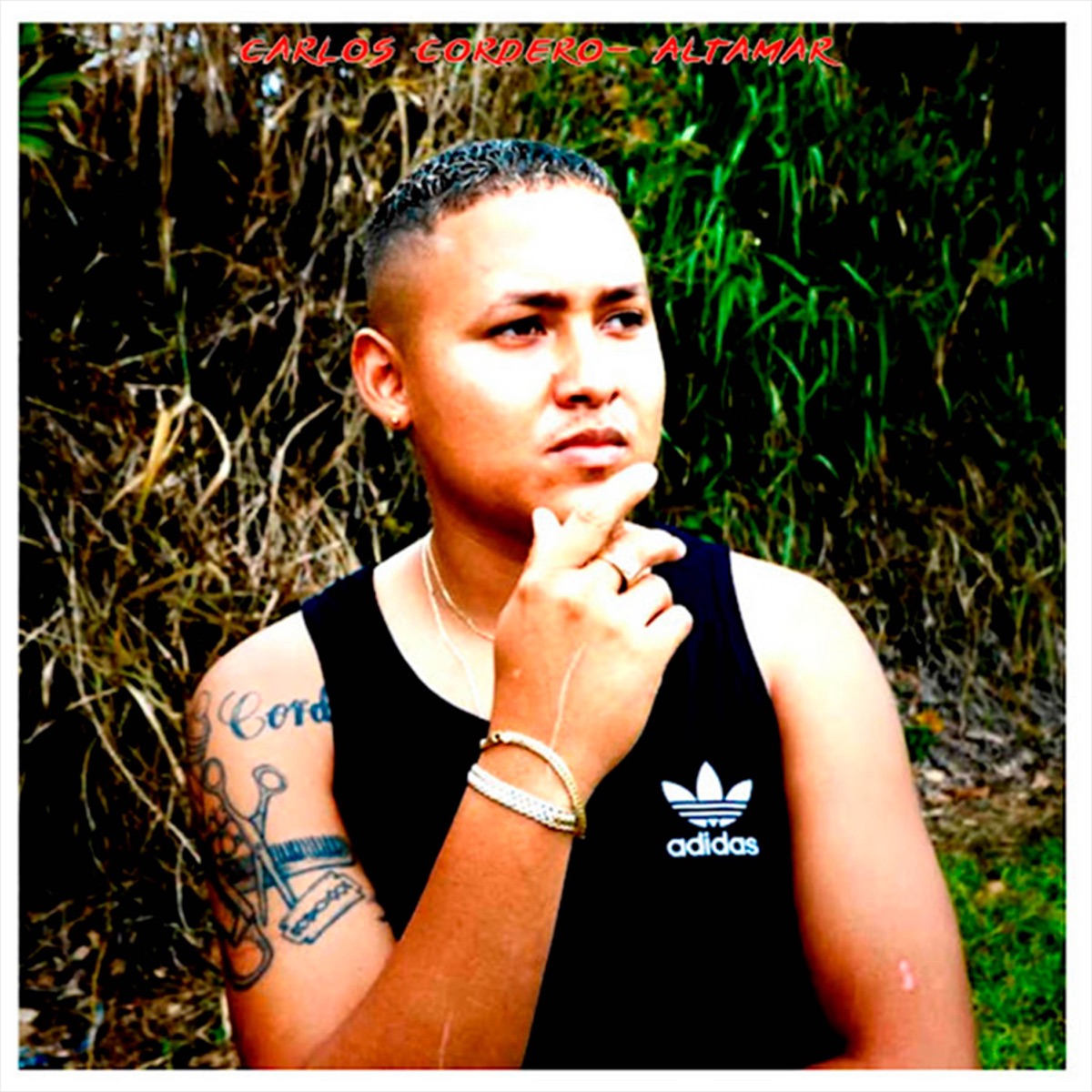 Altamar - Single by Carlos Cordero album cover