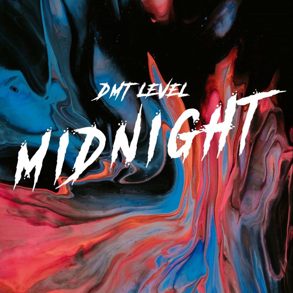Midnight - Single by DMT LEVEL album cover
