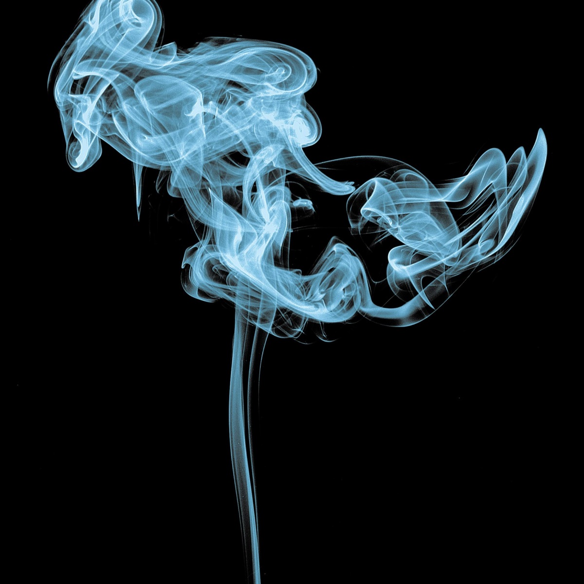 Free Smoke (feat. FreeTruthRay) - Single by Rollcertified album cover