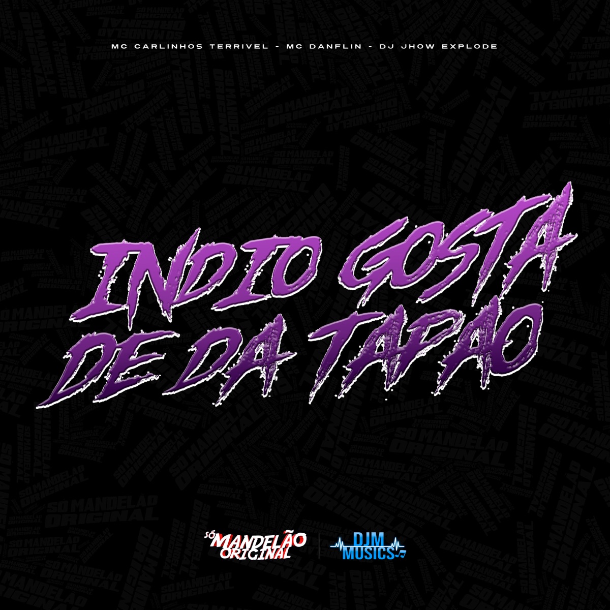 Indio Gosta de da Tapao - Single by MC Carlinhos Terrivel, MC DANFLIN & Dj Jhow Explode album cover
