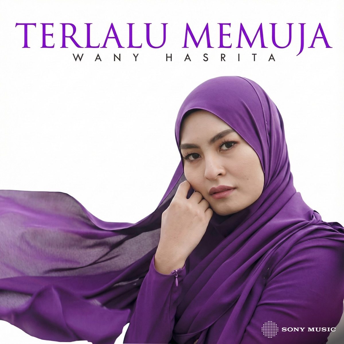 Terlalu Memuja - Single by Wany Hasrita album cover