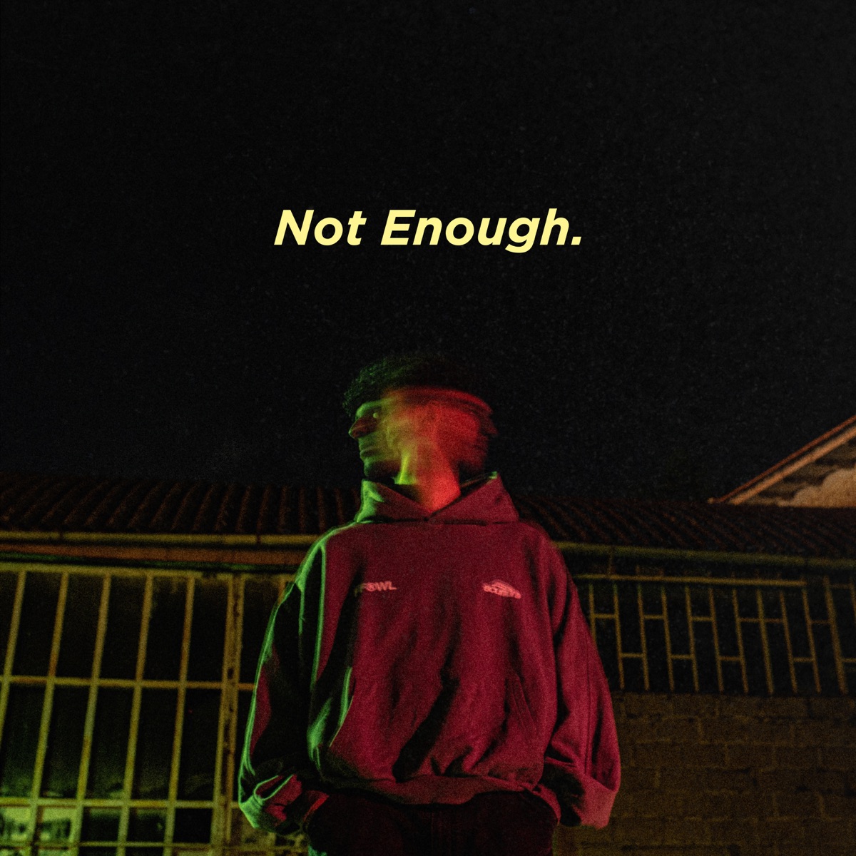 Not Enough. - Single by BIONT album cover