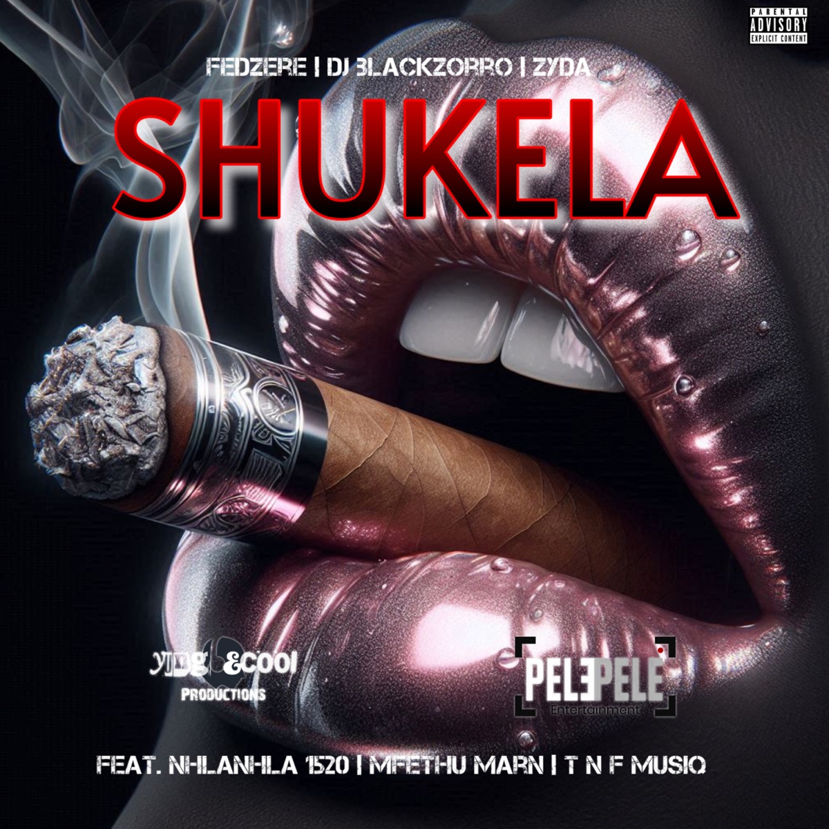 Shukela (feat. Nhlanhla 1520, Mfethu Marn & T n F MusiQ) [Deluxe Version] - Single by Dj BlackZorro, Fedzere & ZYDA album cover