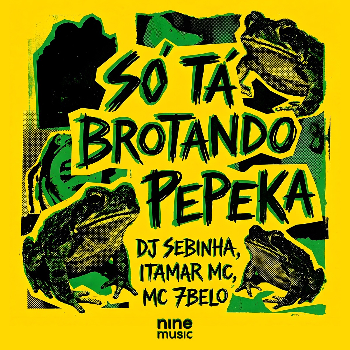 SO TA BROTANDO PEPEKA (feat. MC 7 Belo) - Single by Dj Sebinha & Mc Itamar album cover