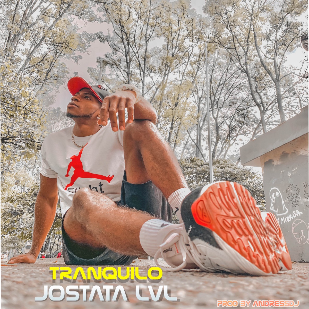 Tranquilo (Reposadito) - Single by Jostata Lvl album cover