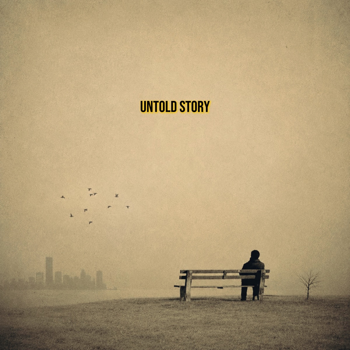 Untold Story - Single by REX MUSIC & The Hashtags album cover