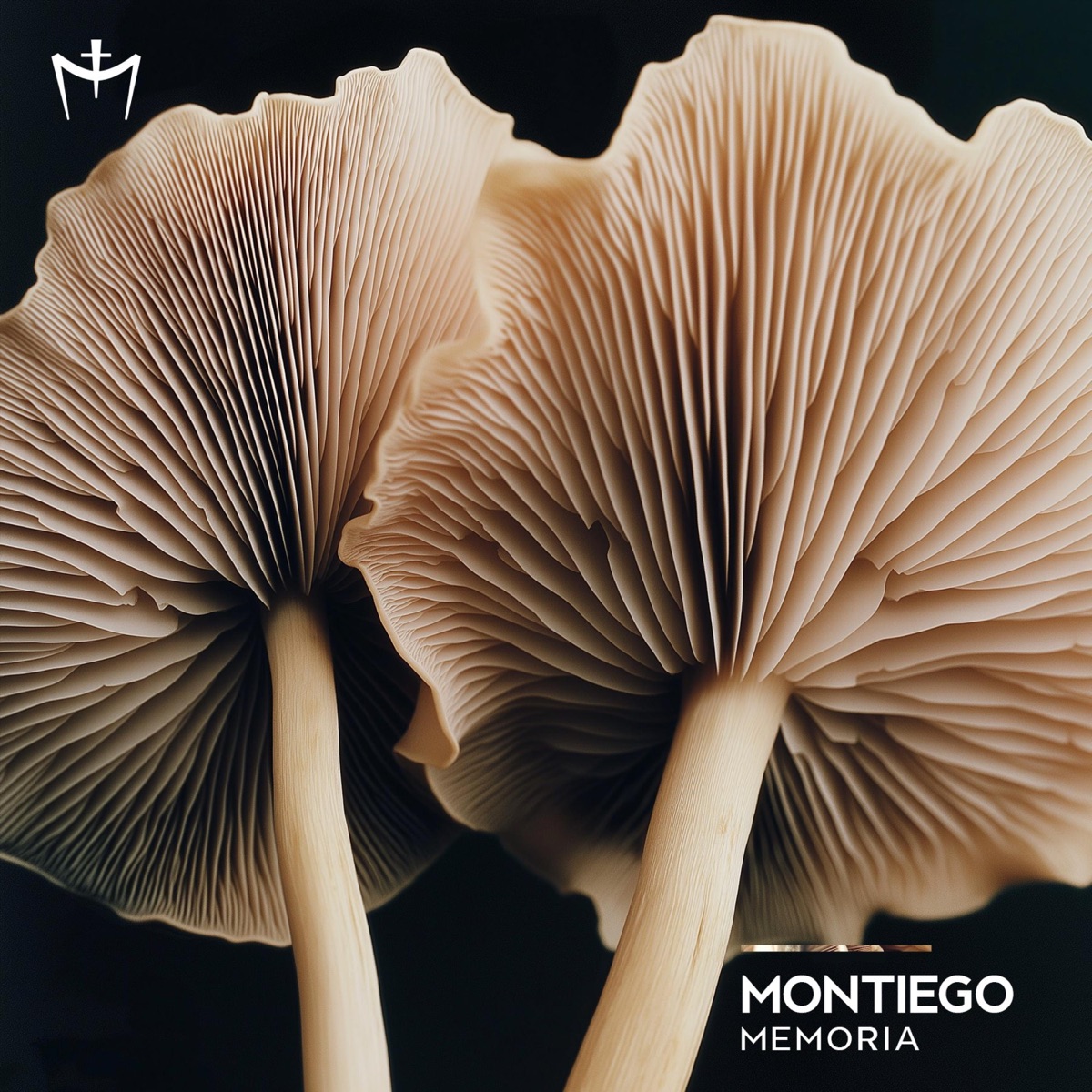 Memoria - Single by Montiego & Alishmas album cover