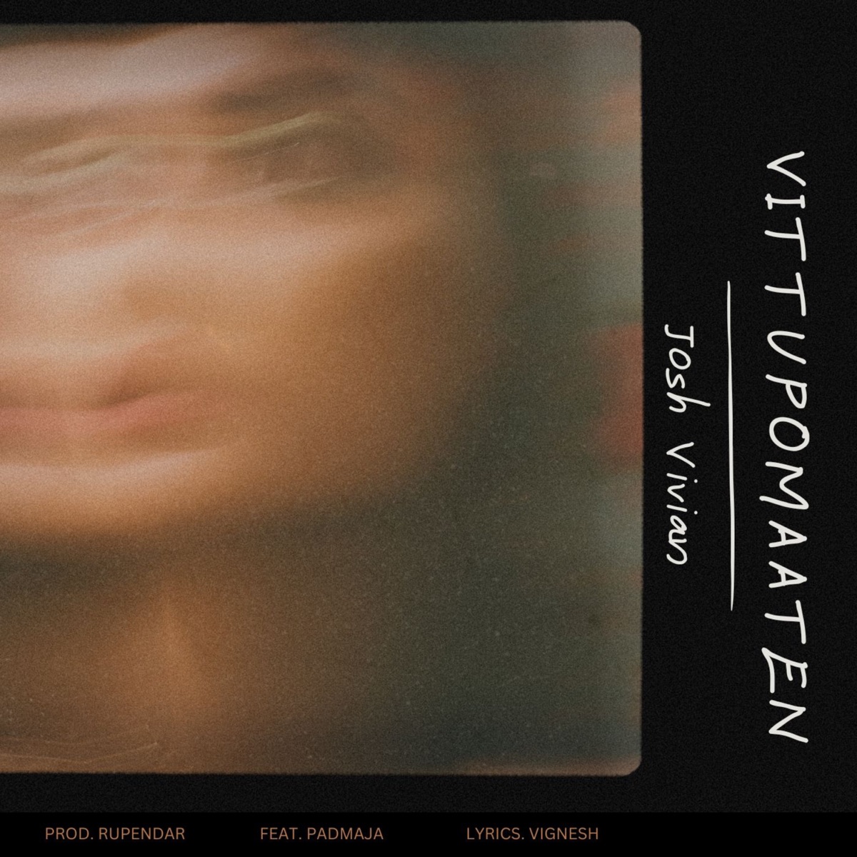 Vittupomaaten (feat. Padmaja Sreenivasan) - Single by Josh Vivian album cover