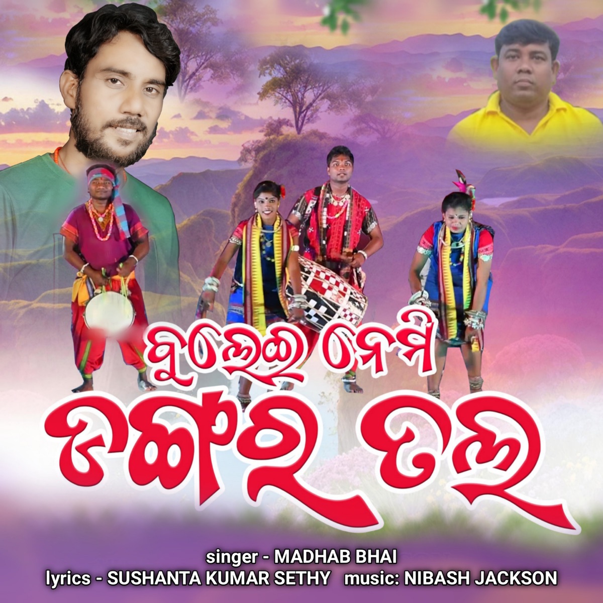 Bulei Nemi Dangara Tala - Single by Madhab Bhai album cover