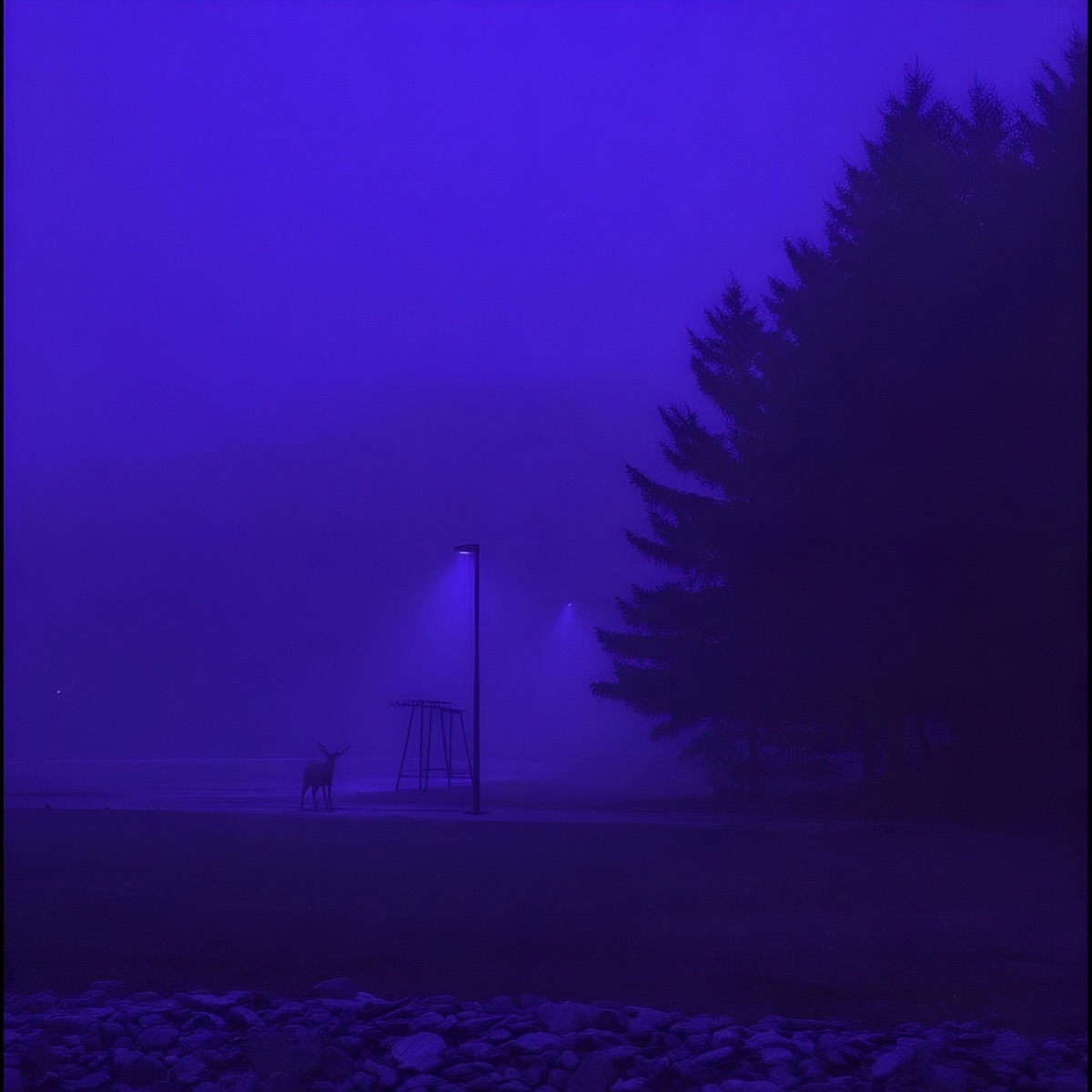 carefree - EP by awakind album cover