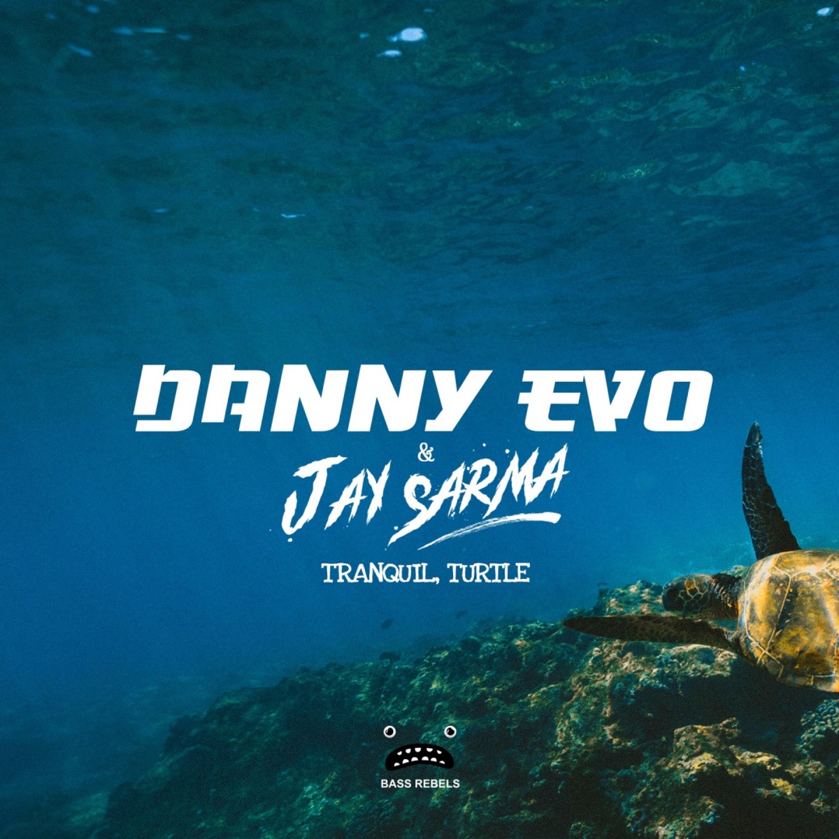 Tranquil Turtle - Single by Danny Evo & Madhurjya album cover