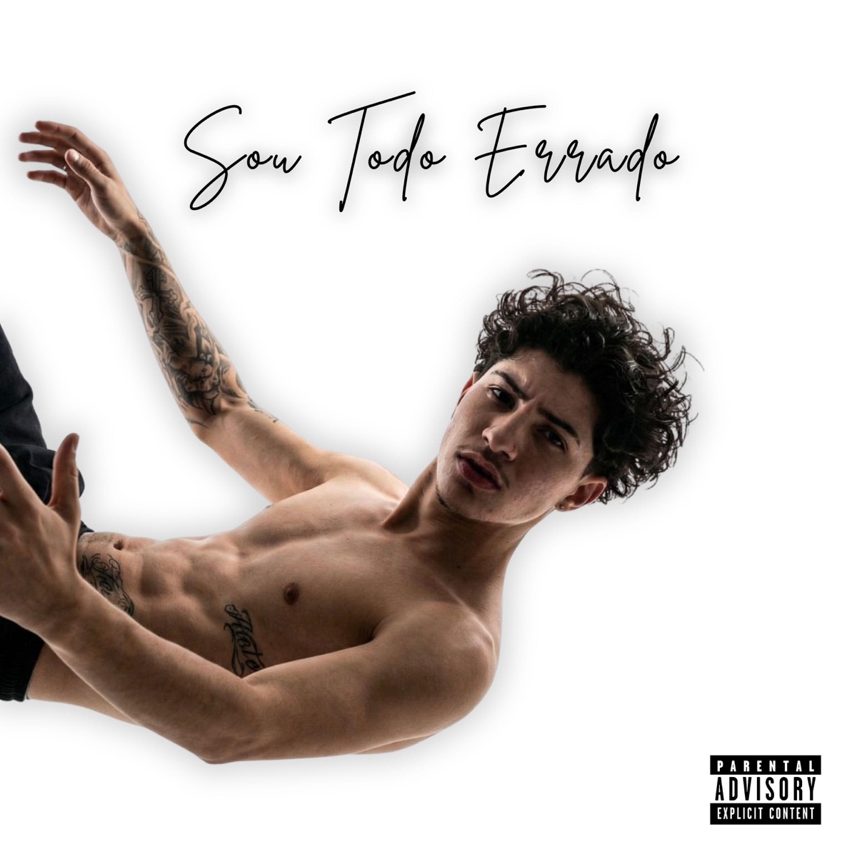 Sou Todo Errado - Single by Haag album cover
