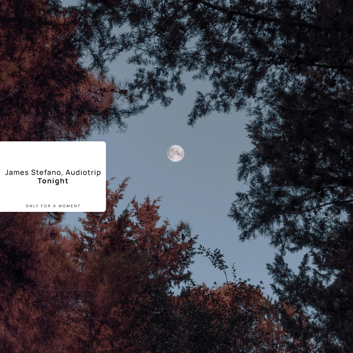 Tonight - Single by James Stefano & Audiotrip album cover