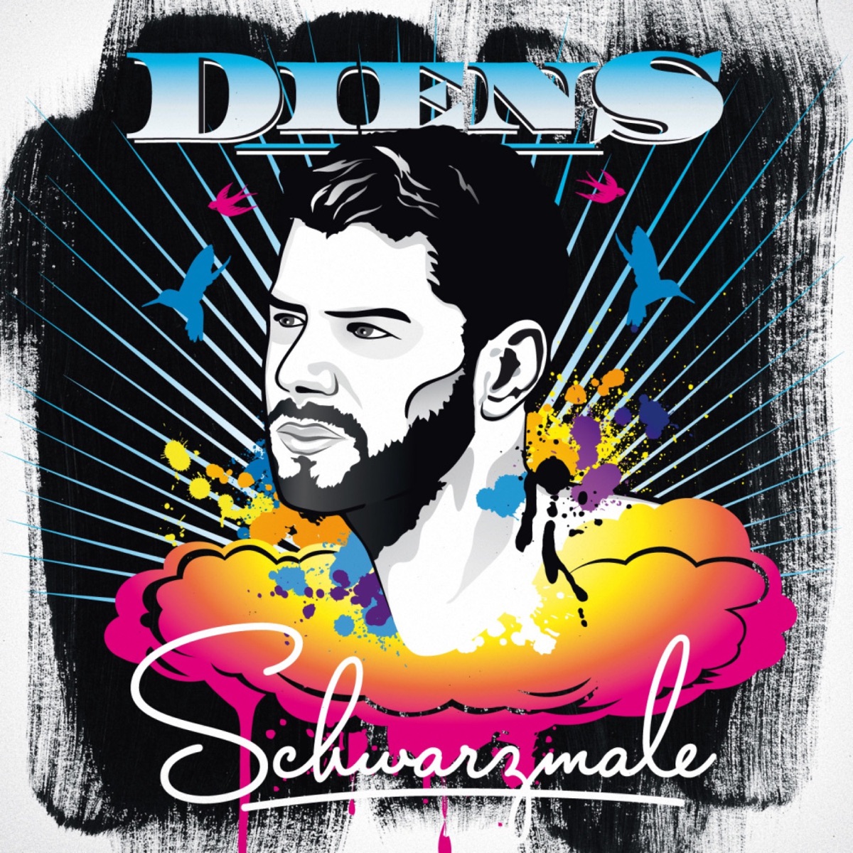 Schwarzmale by Diens (Wurzel 5) album cover