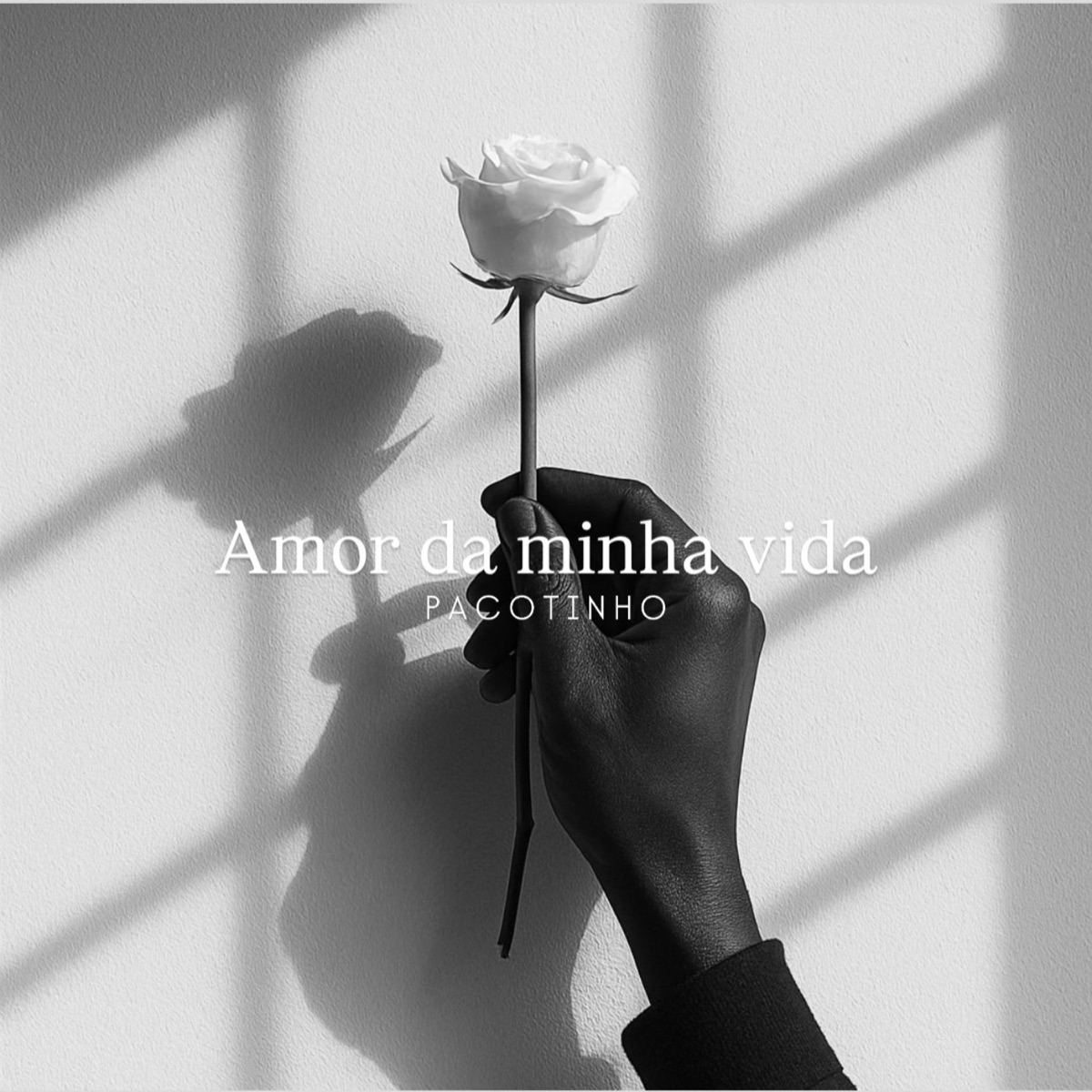 Amor da Minha Vida - Single by Pacotinho album cover