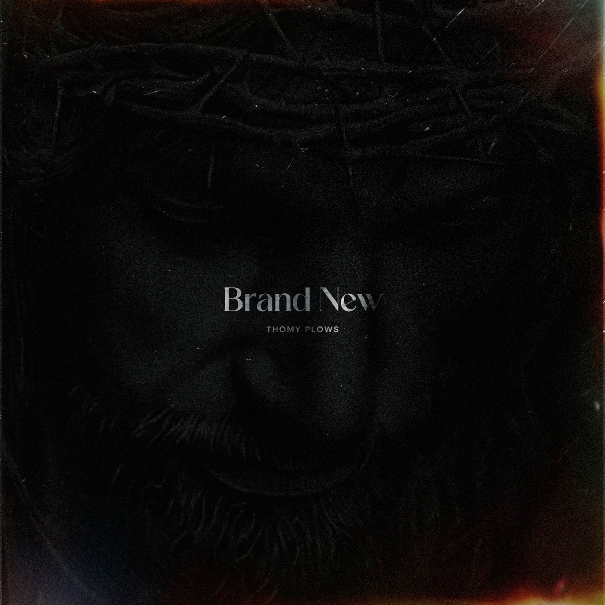 Brand New - Single by Thomy Plows album cover