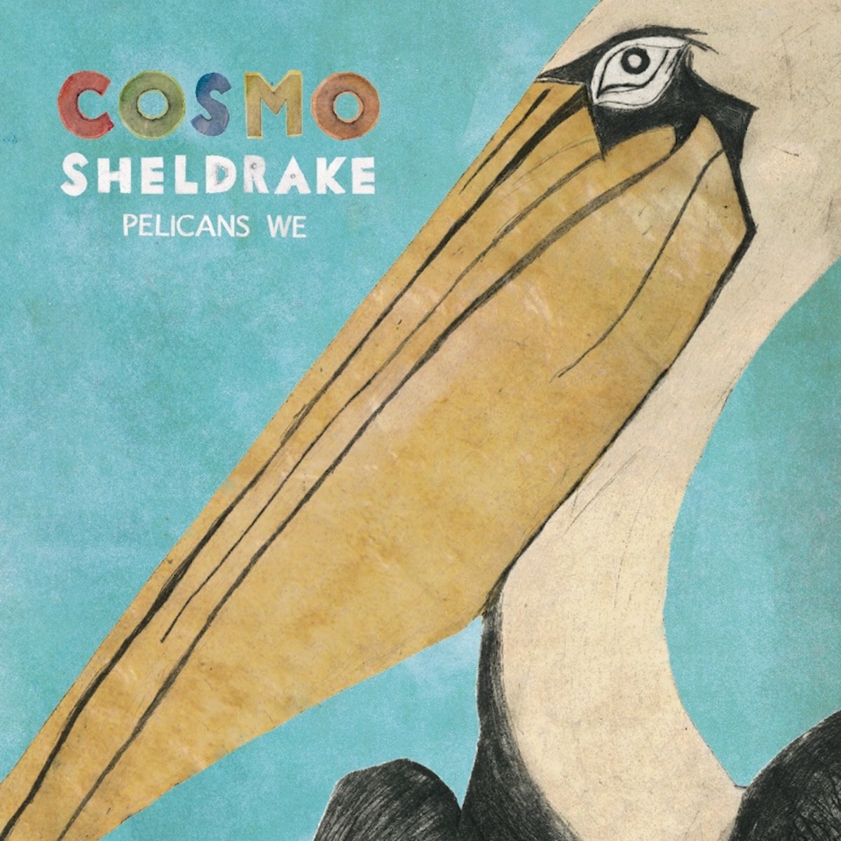 Pelicans We - EP by Cosmo Sheldrake album cover