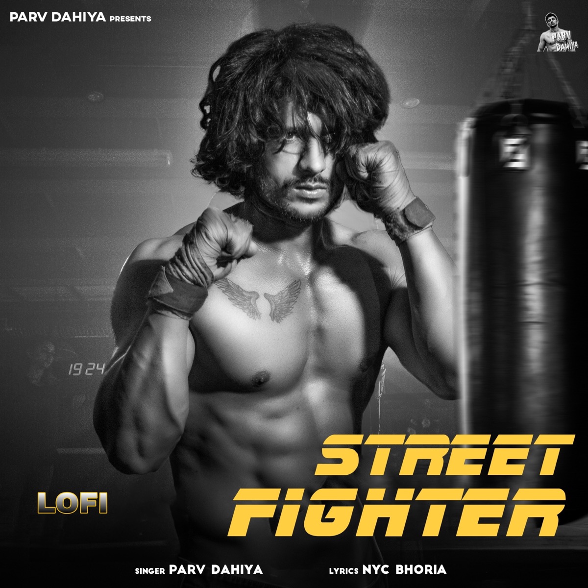 Street Fighter (Lofi) - Single by NYC Bhoria, Dee Gaur & Parv Dahiya album cover
