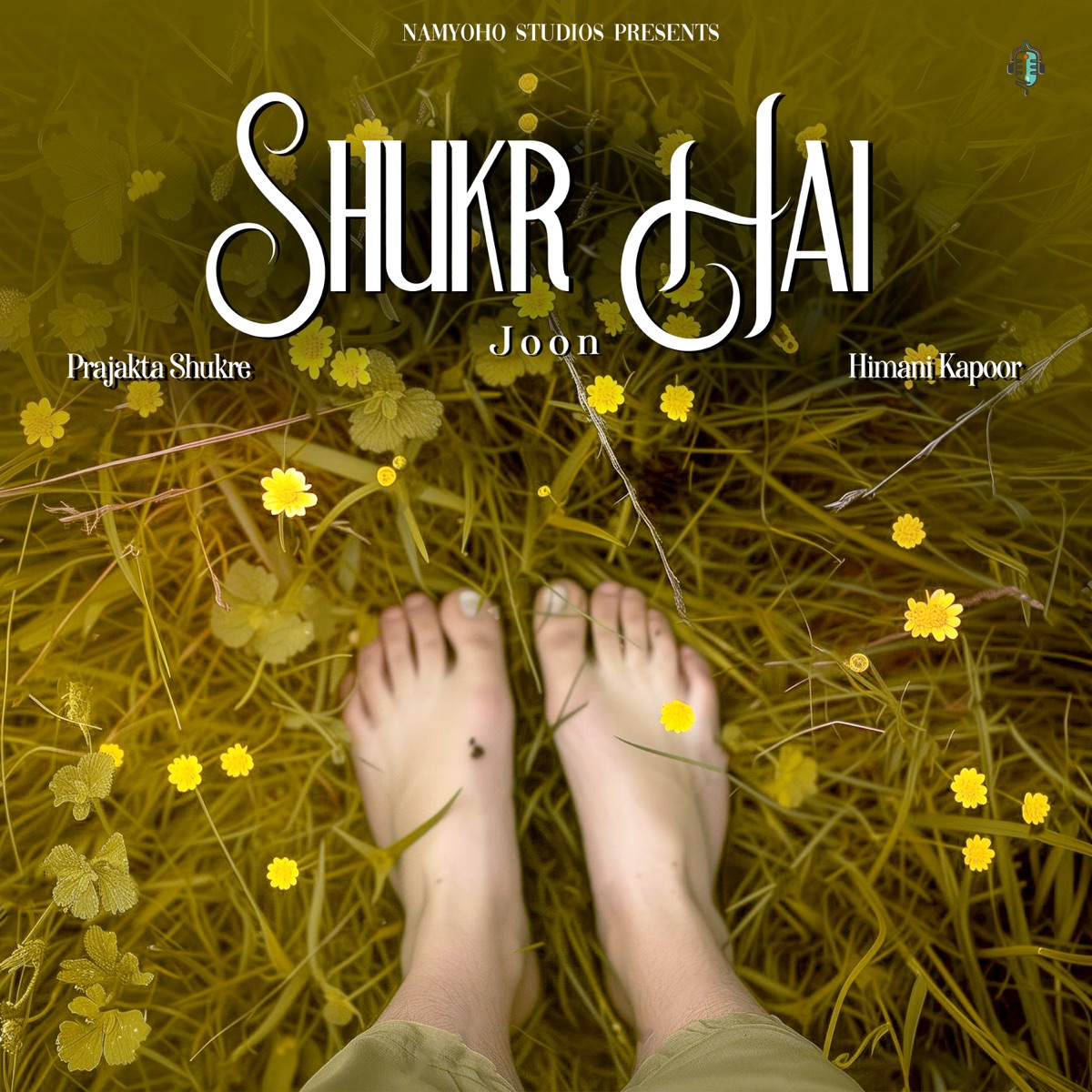 Shukr Hai - Single by JOON, Prajakta Shukre & Himani Kapoor album cover