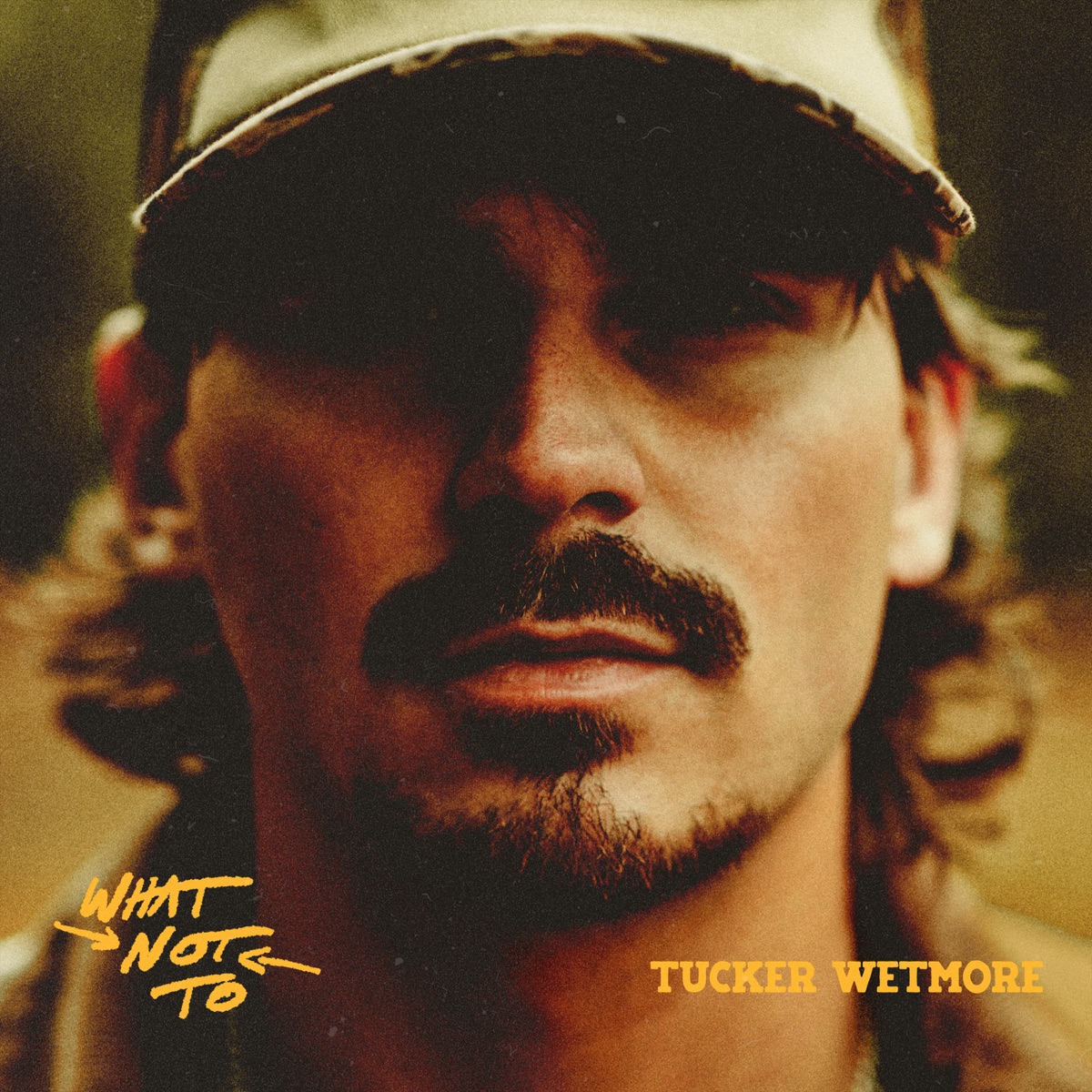 What Not To by Tucker Wetmore album cover