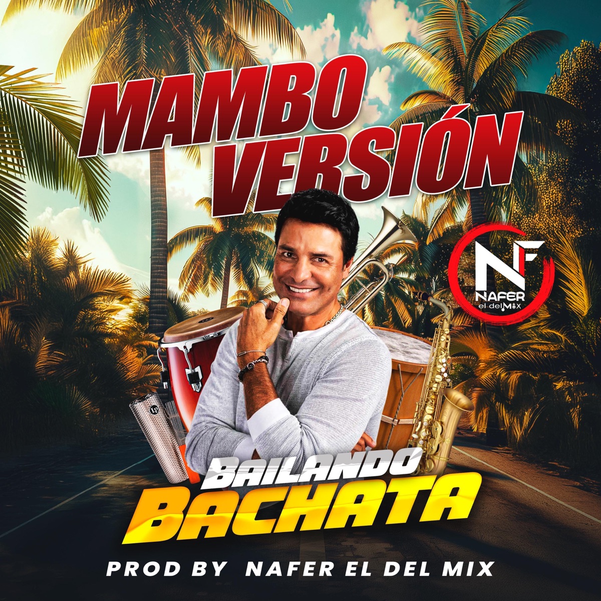 Bailando Bachata (Chayanne MAMBO VERSION) - Single by Nafer El Del Mix album cover