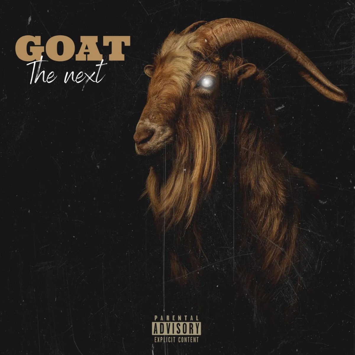 The Next GOAT by Deep Express album cover