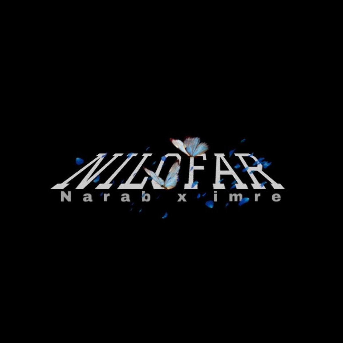 Nilofar - Single by NARAB & imre album cover