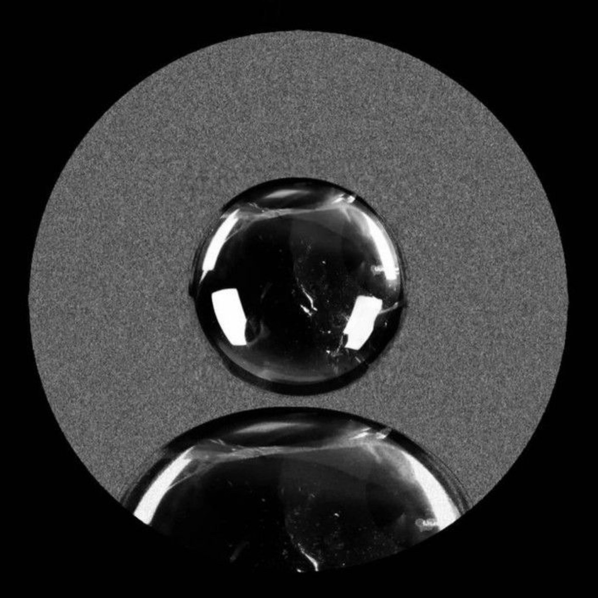 QUERENDO MAIS - Single by Novak album cover