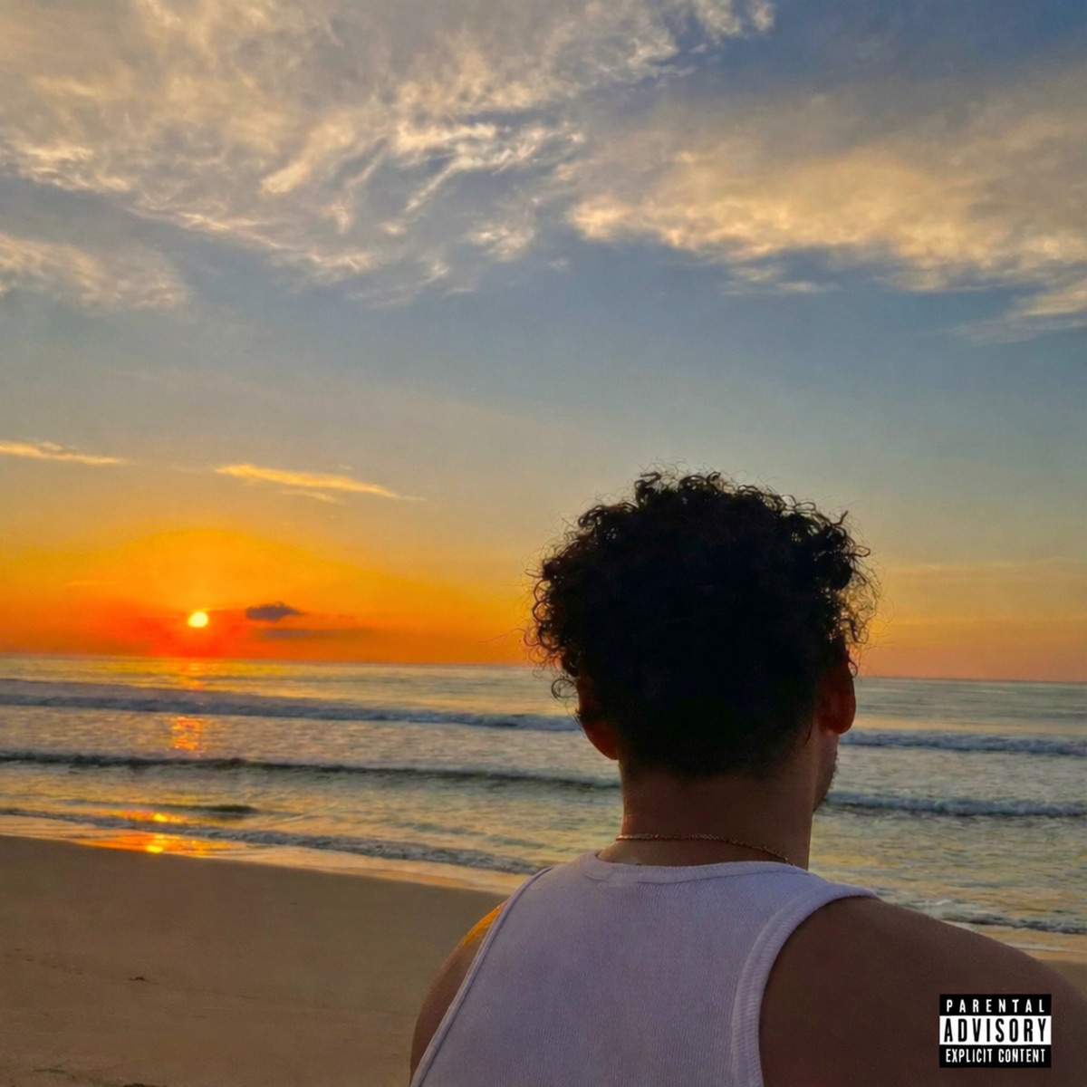 2025 - Single by Nicksant album cover
