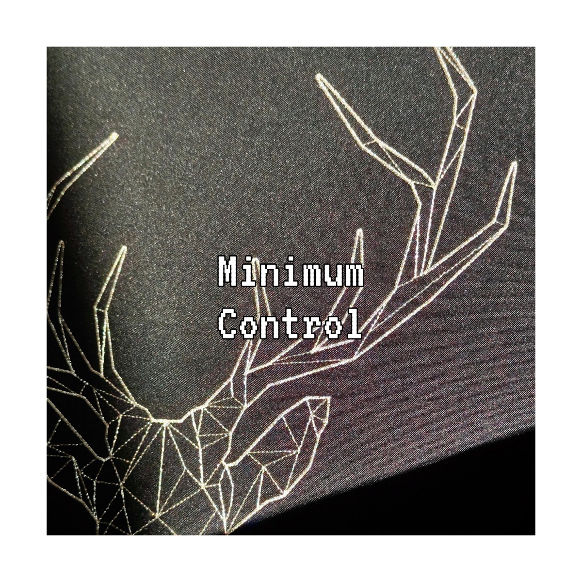 Minimum Control - Single by The Bulgi album cover