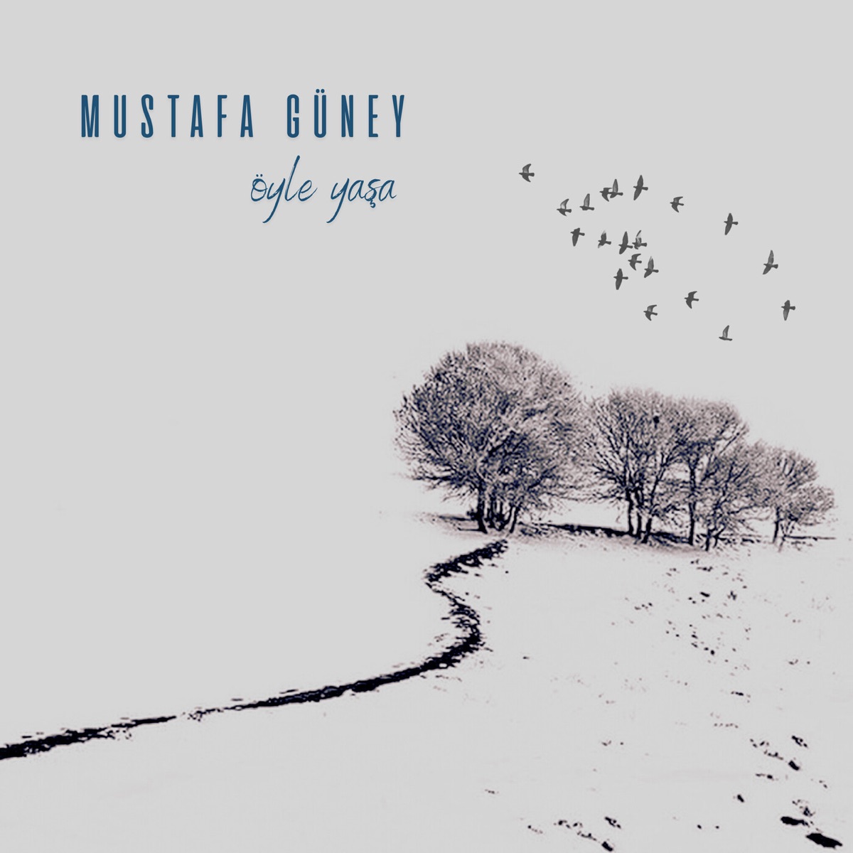 Öyle Yaşa - Single by Mustafa Güney album cover