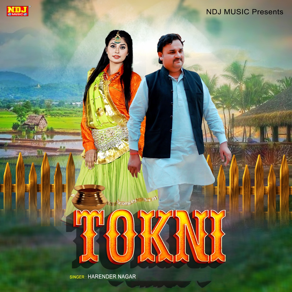 Tokni - Single by Harender Nagar album cover