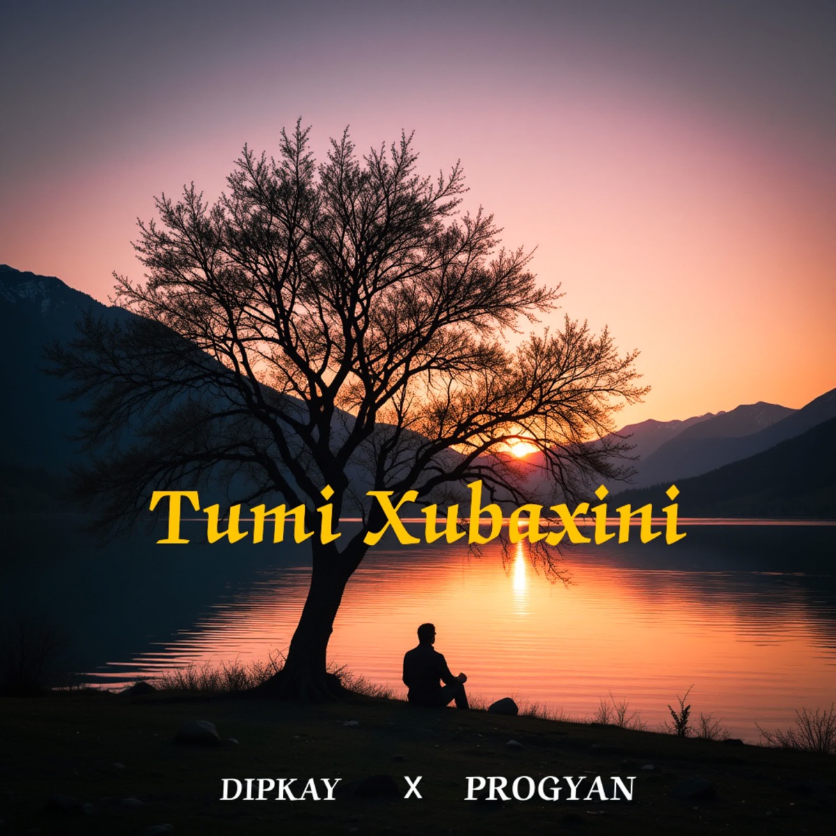 Tumi Xubaxini - Single by DIPKAY & PRO-GYAN album cover