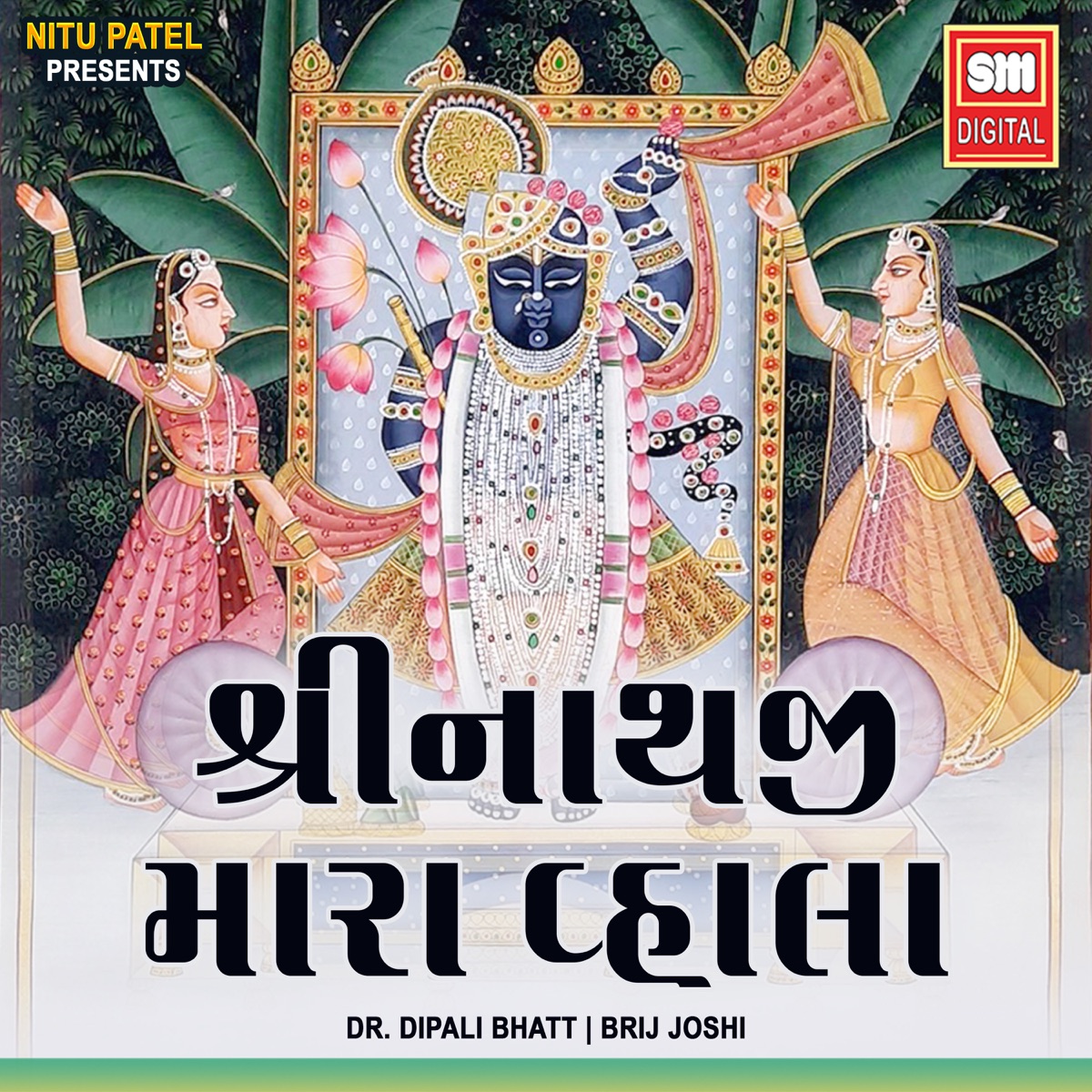 Shreenathji Mara Vhala - Single by Dr. Dipali Bhatt album cover