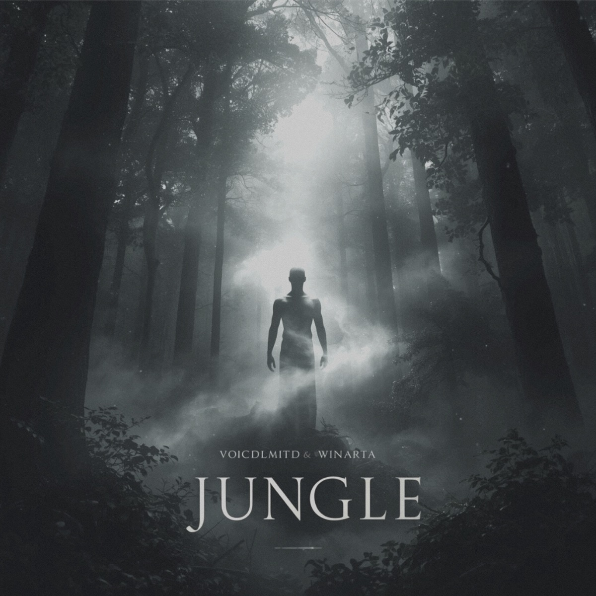 Jungle (Extended Mix) - Single by WINARTA & Voicdlimitd album cover