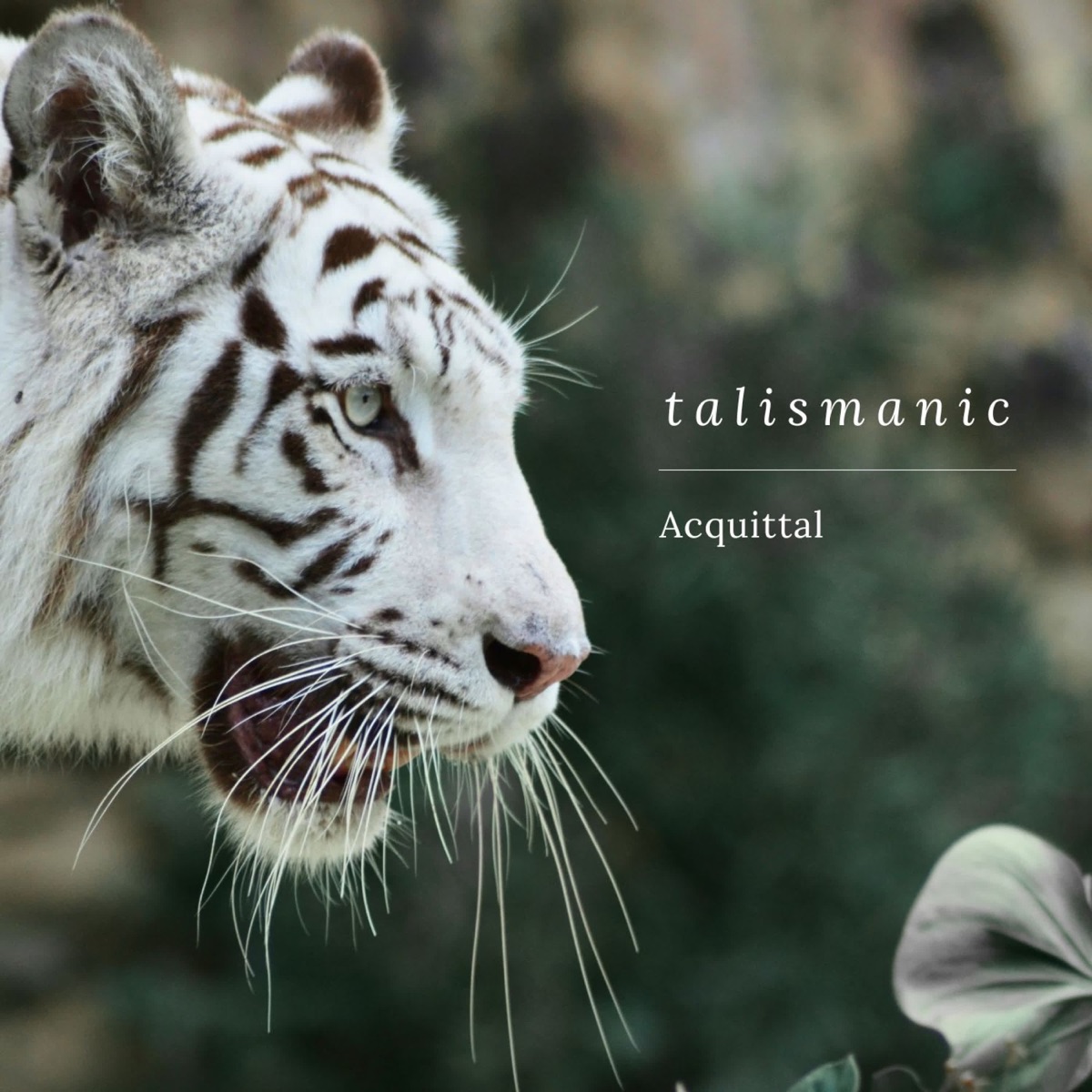Talismanic - Single by Acquittal album cover