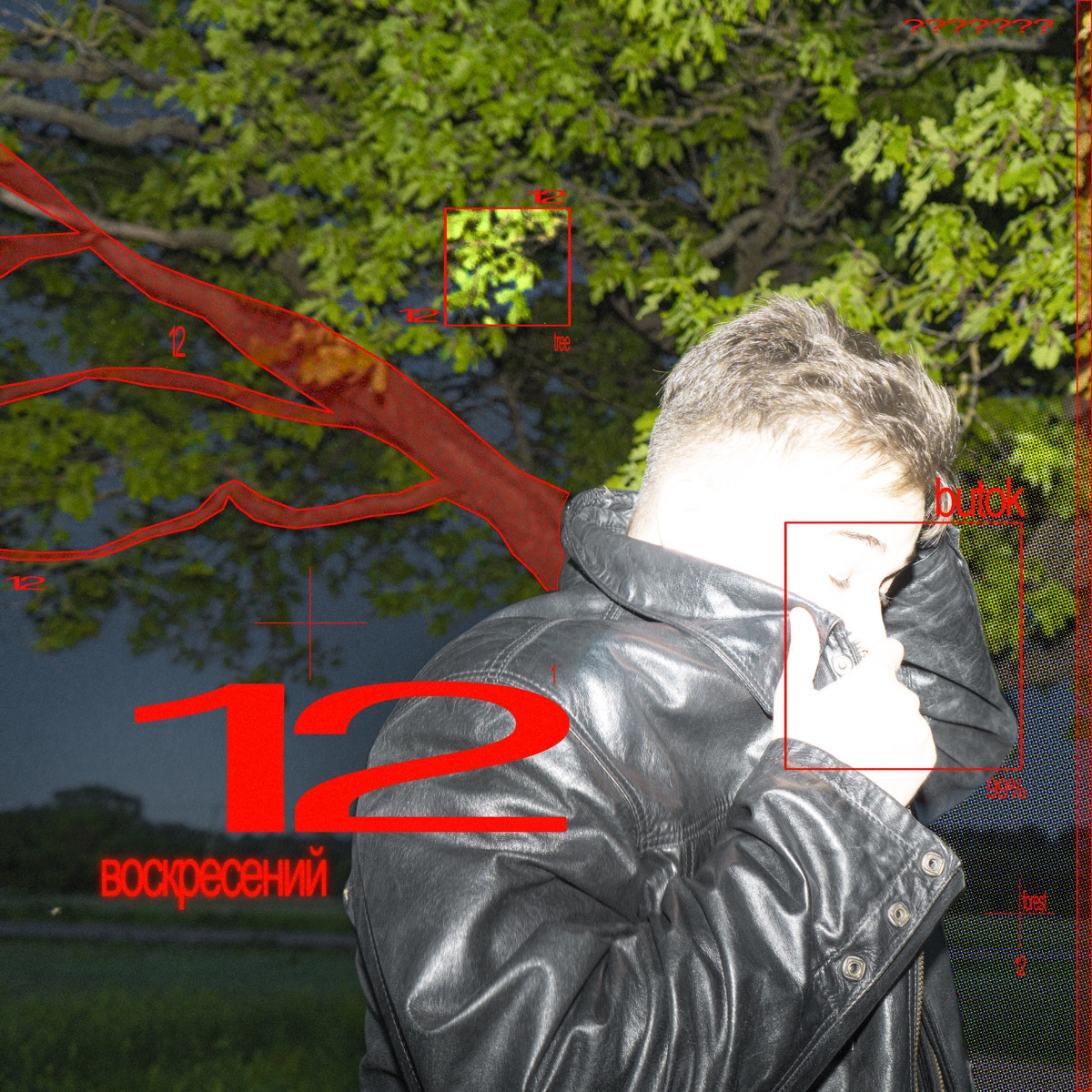 12 ВОСКРЕСЕНИЙ by butok album cover