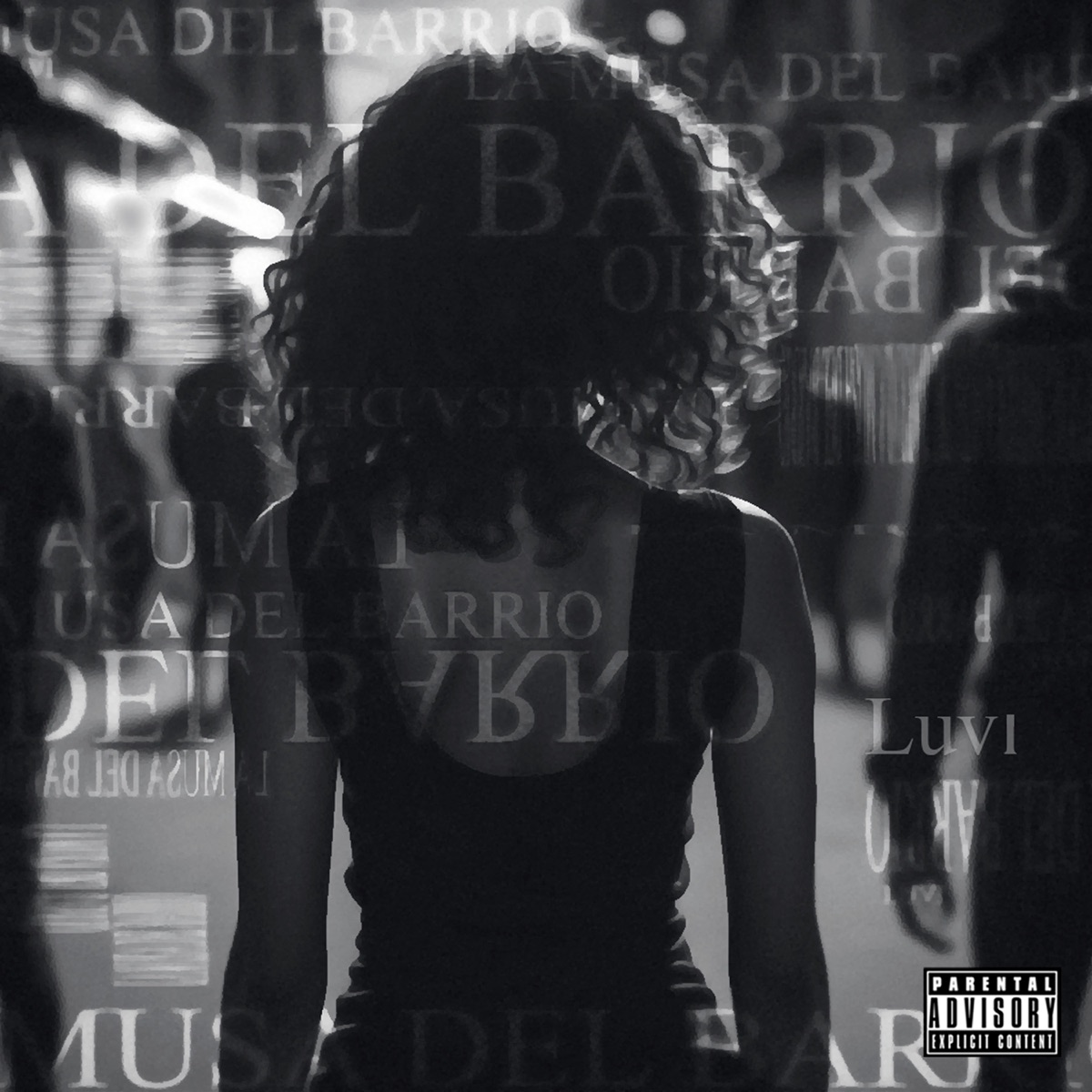 La Musa Del Barrio - Single by Luvi album cover
