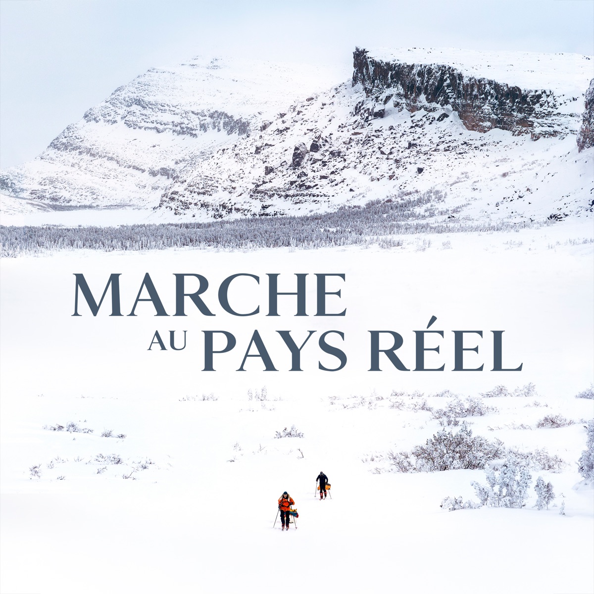 Marche au pays réel by Pierre-Yves Martel & Vital Records album cover