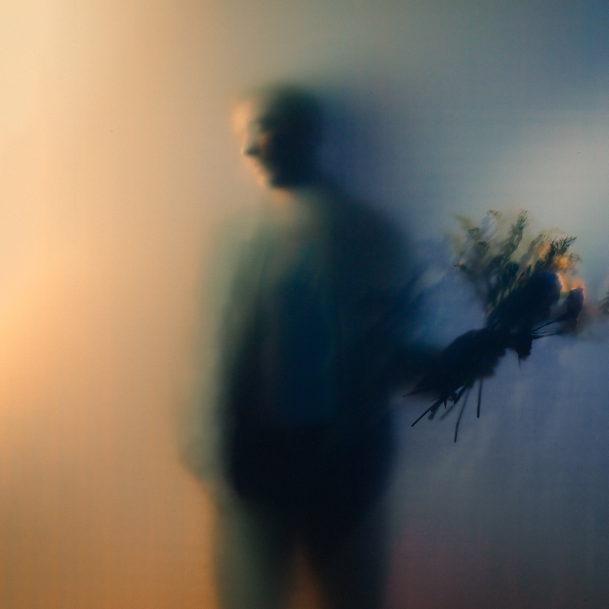 Bloom by Ben Böhmer album cover