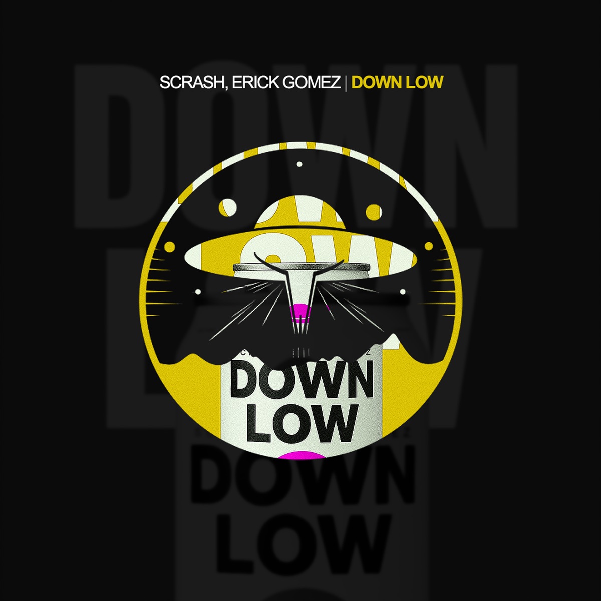 Down Low - Single by Erick Gomez & ScrasH album cover
